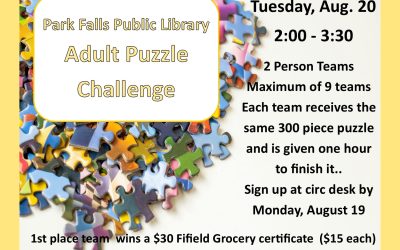 Adult Puzzle Challenge