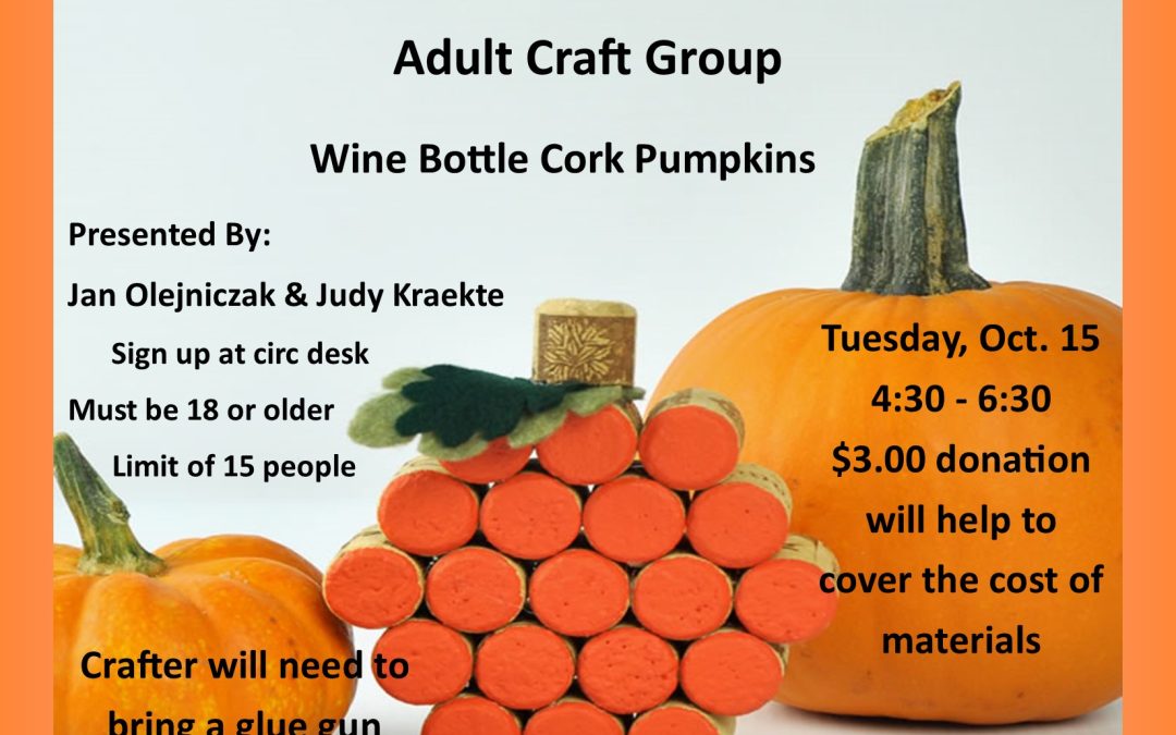 Adult Craft Group