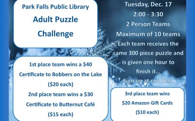 Adult Puzzle Challenge