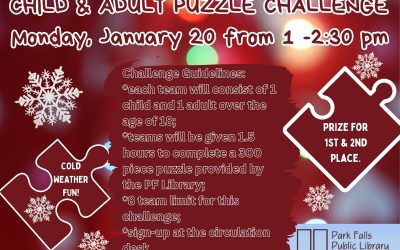 CHILD & ADULT PUZZLE CHALLENGE