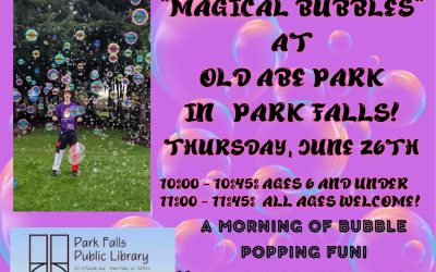 “MAGICAL BUBBLES” at OLD ABE PARK