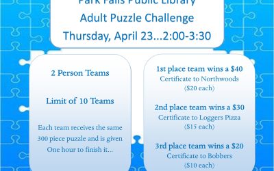 Adult Puzzle Challenge